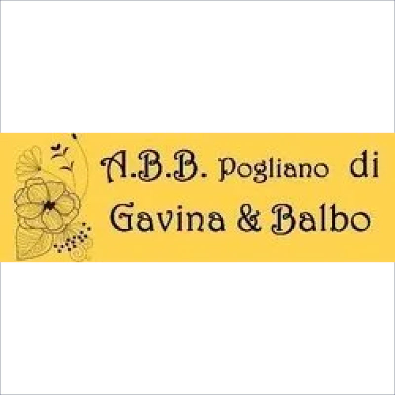 onoranze-funebri-abb-pgliano-gavina-balbo-settimo-torinese Onoranze Funebri A.B.B. Pogliano di GAVINA & BALBO