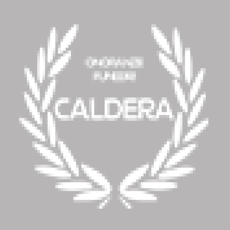 Onoranze Funebri Caldera Candelo – Capodiferro Michael